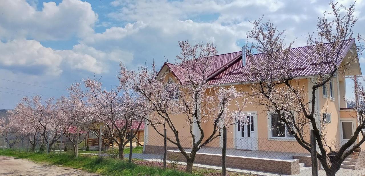 Conacul Mierii Villa Straseni Bagian luar foto