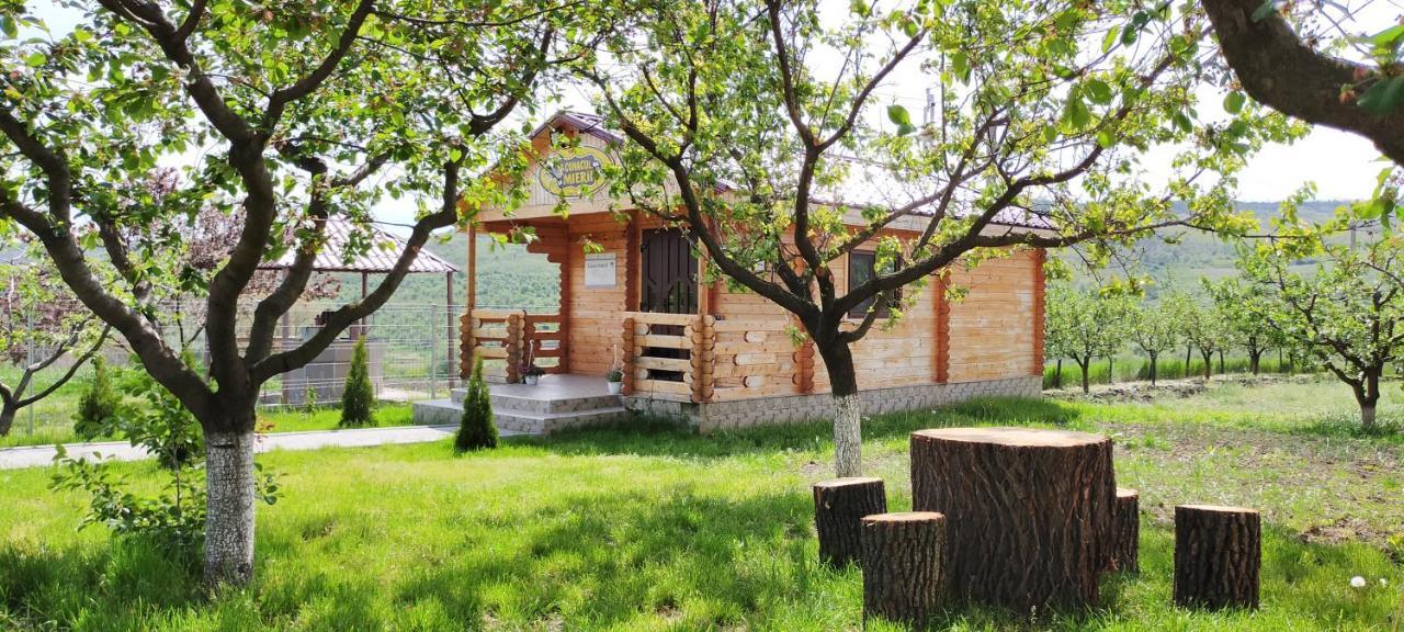 Conacul Mierii Villa Straseni Bagian luar foto